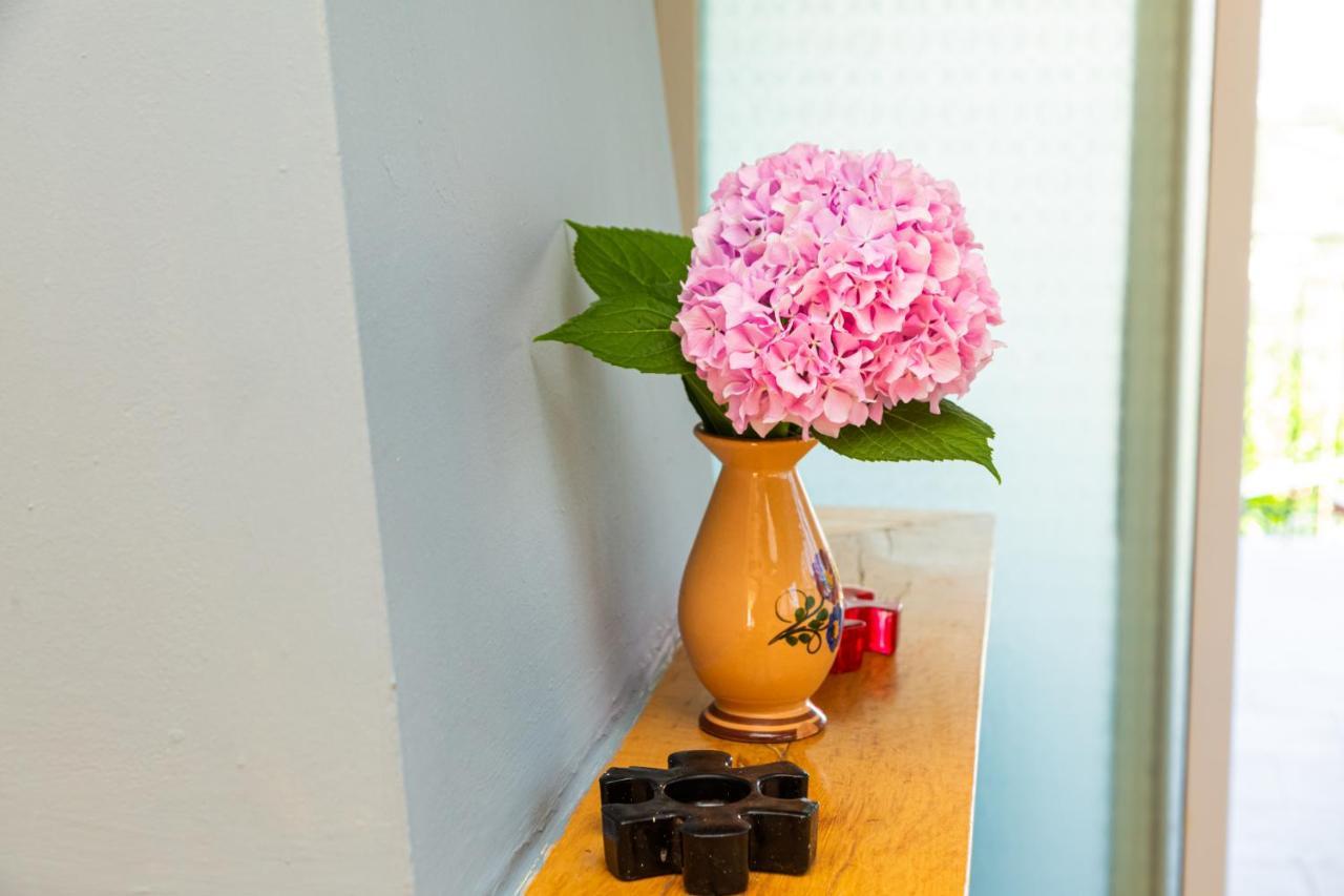 Alonia Apartment 히마레 외부 사진